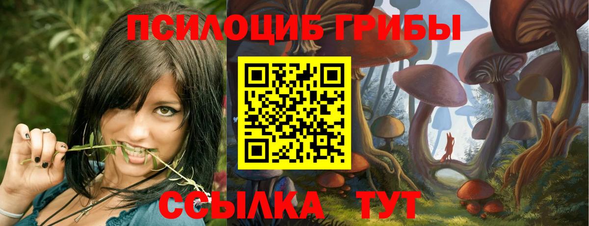 Псилоцибиновые грибы Cubensis Скопин